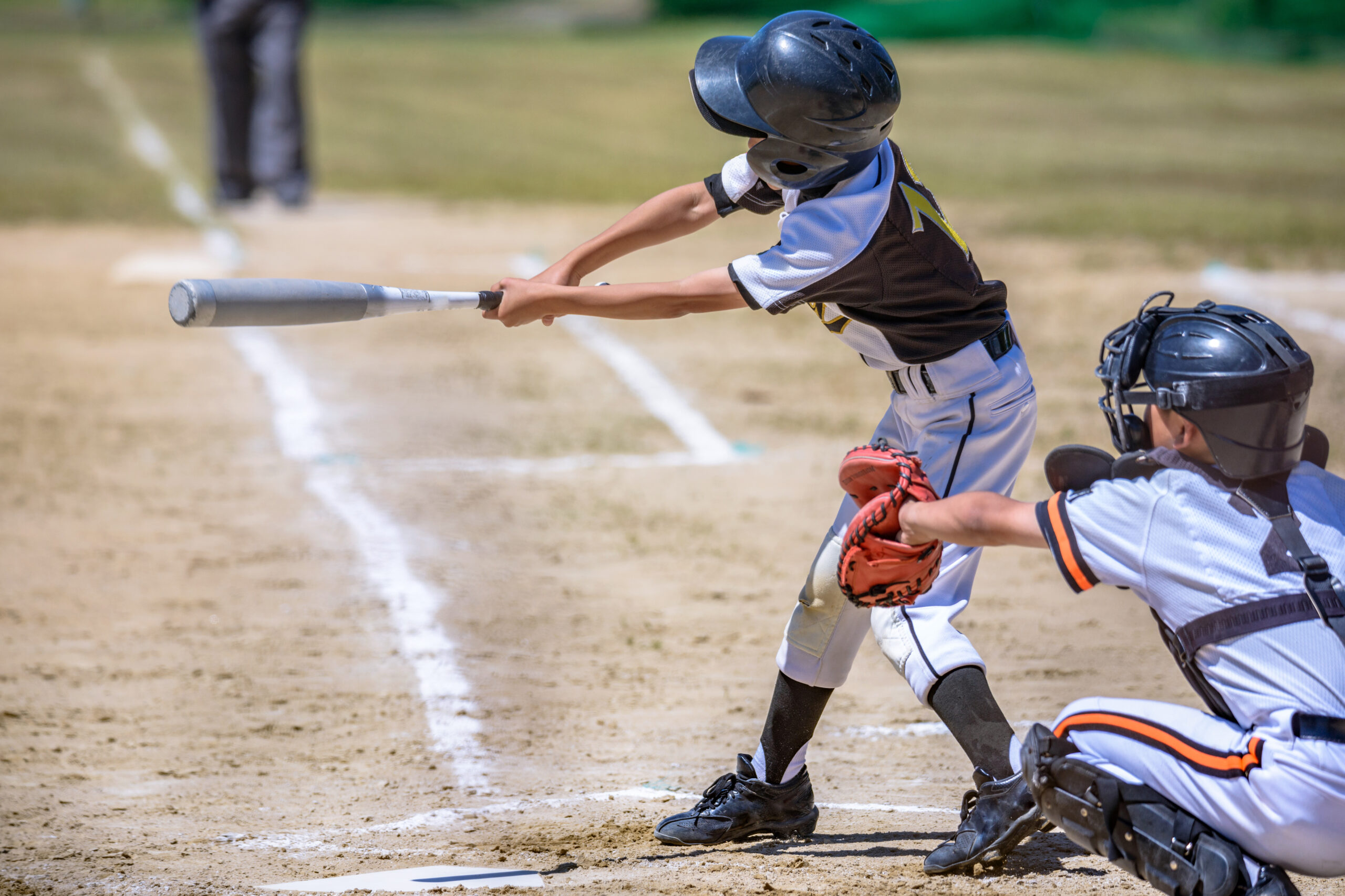 Special Education Update: Next at Bat: What’s Coming Up in 2024